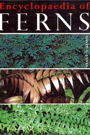 Cover of Encyclopaedia of Ferns