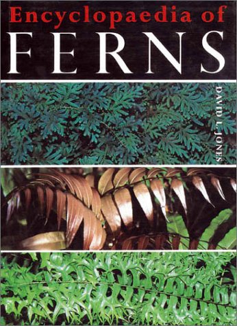 Book cover for Encyclopaedia of Ferns