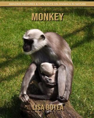 Book cover for Monkey