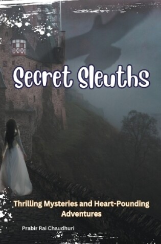 Cover of Secret Sleuths