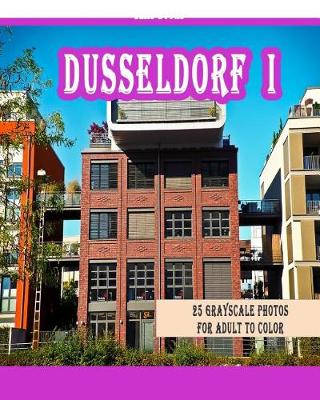 Book cover for Dusseldorf I