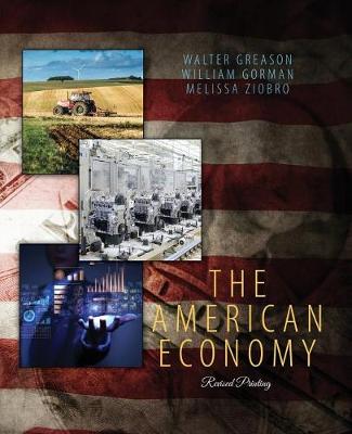 Book cover for The American Economy