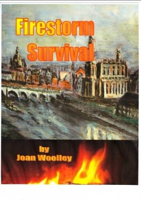 Book cover for Firestorm Survival