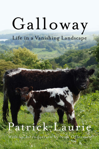 Book cover for Galloway