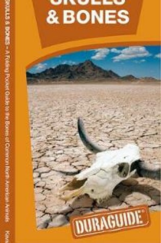 Cover of Animal Skulls & Bones