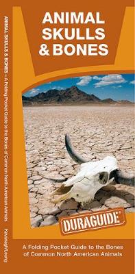 Cover of Animal Skulls & Bones