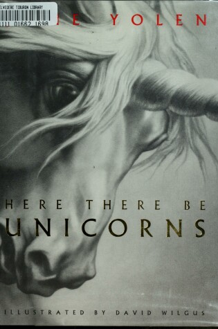 Cover of Here There Be Unicorns