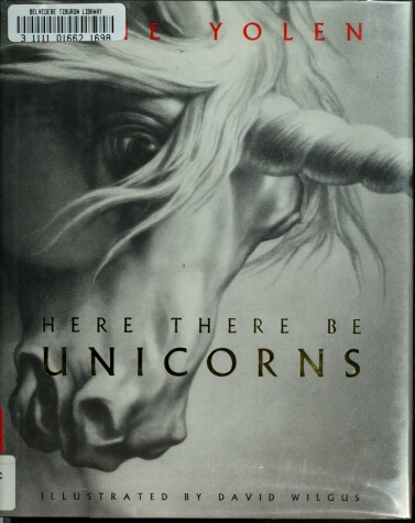 Book cover for Here There Be Unicorns
