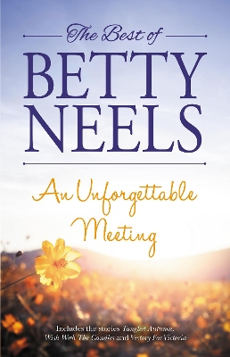 Book cover for An Unforgettable Meeting
