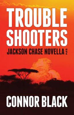 Book cover for Troubleshooters