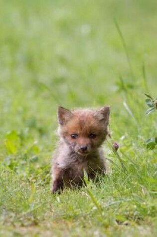 Cover of So Cute Baby Fox Kit in the Wild Journal