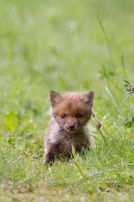 Book cover for So Cute Baby Fox Kit in the Wild Journal