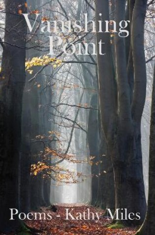 Cover of Vanishing Point