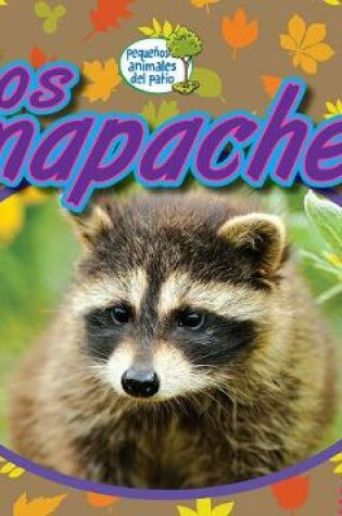 Cover of Los Mapaches