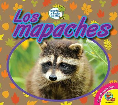 Cover of Los Mapaches