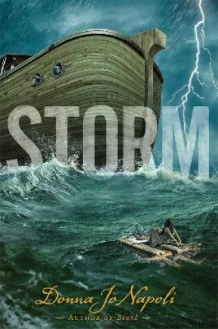 Cover of Storm