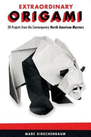 Cover of Extraordinary Origami