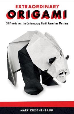 Book cover for Extraordinary Origami