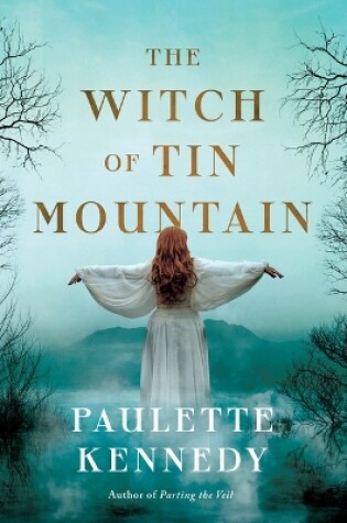 Cover of The Witch of Tin Mountain