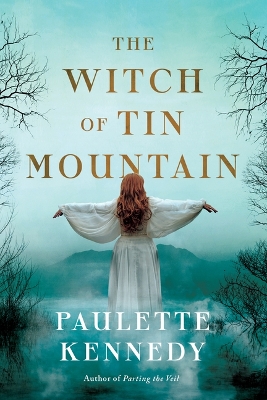 Book cover for The Witch of Tin Mountain