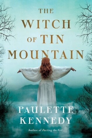 Cover of The Witch of Tin Mountain