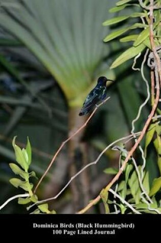 Cover of Dominica Birds (Black Hummingbird) 100 Page Lined Journal