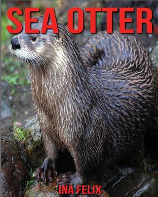 Book cover for Sea Otter