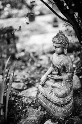 Book cover for Buddha Garden Statue in Black and White Journal