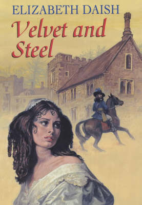 Book cover for Velvet and Steel