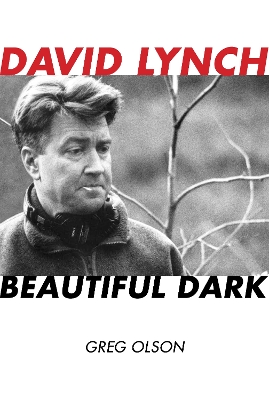 Book cover for David Lynch