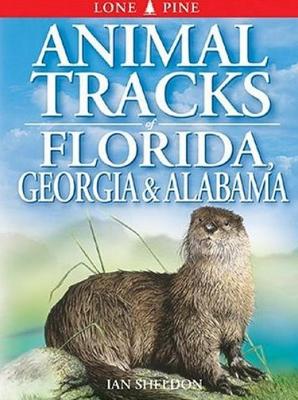 Book cover for Animal Tracks of Florida, Georgia and Alabama