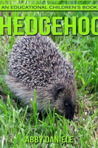Cover of Hedgehog! An Educational Children's Book about Hedgehog with Fun Facts & Photos