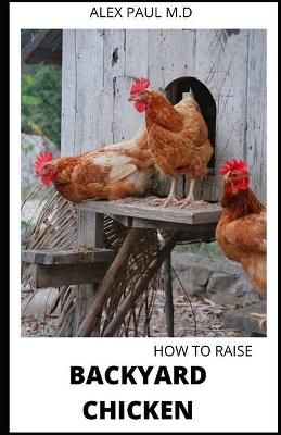 Book cover for How to Raise Backyard Chicken