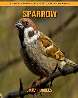 Book cover for Sparrow