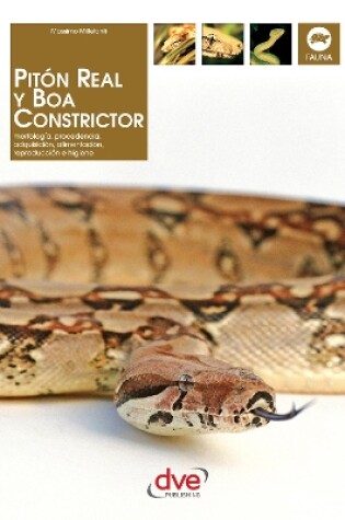 Cover of Pitón real y boa constrictor