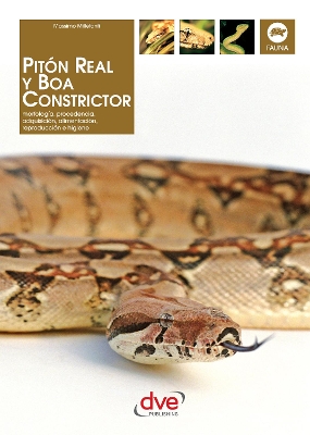 Book cover for Pitón real y boa constrictor