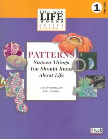 Book cover for Patterns