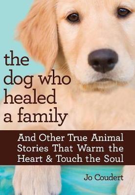 Book cover for The Dog Who Healed a Family