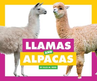 Book cover for Llamas and Alpacas