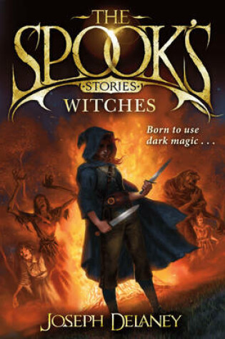 Cover of Spooks Stories