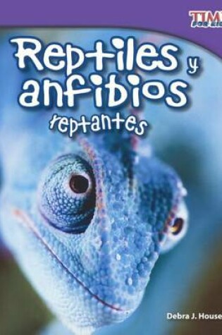 Cover of Reptiles y Anfibios (Reptiles and Amphibians)