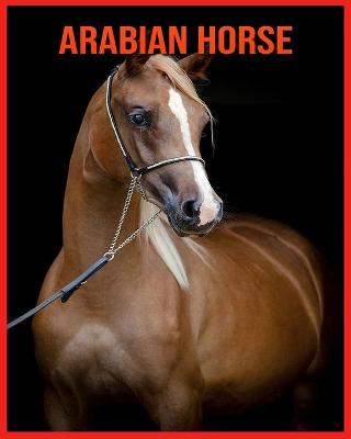 Book cover for Arabian Horse