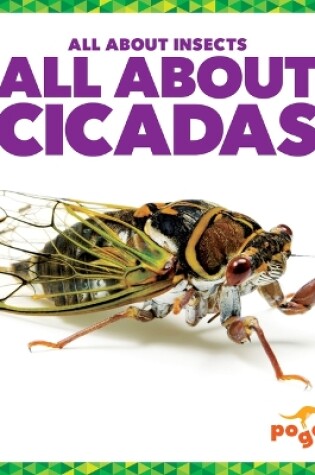 Cover of All about Cicadas
