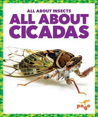 Cover of All about Cicadas