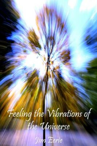 Cover of Feeling the Vibrations of the Universe