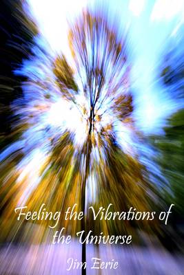 Book cover for Feeling the Vibrations of the Universe