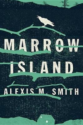 Book cover for Marrow Island