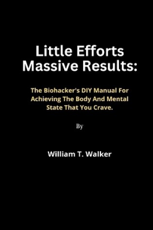 Cover of Little Efforts Massive Results