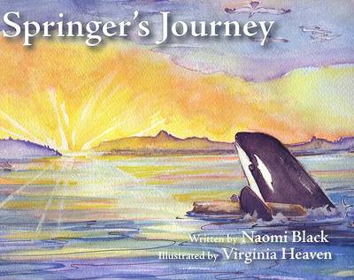 Book cover for Springer's Journey