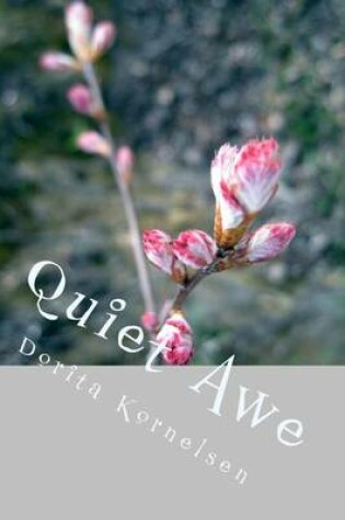 Cover of Quiet Awe